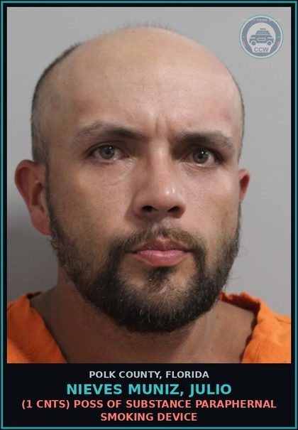 CCW arrest card for NIEVES MUNIZ, JULIO in Polk County: (1 cnts) POSS OF DRUG PARAPHERNAL SMOKING DEVICE