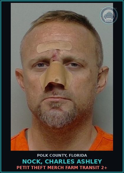 CCW arrest card for NOCK, CHARLES ASHLEY in Polk County: Petit Theft Merch Farm Transit 2+