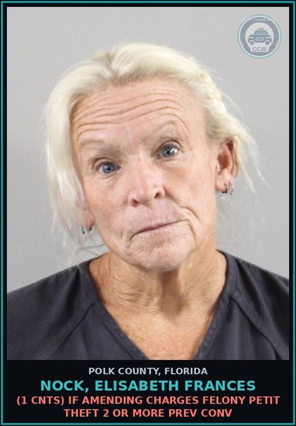 CCW arrest card for NOCK, ELISABETH FRANCES in Polk County: Petit Theft Merch Farm Transit 2+