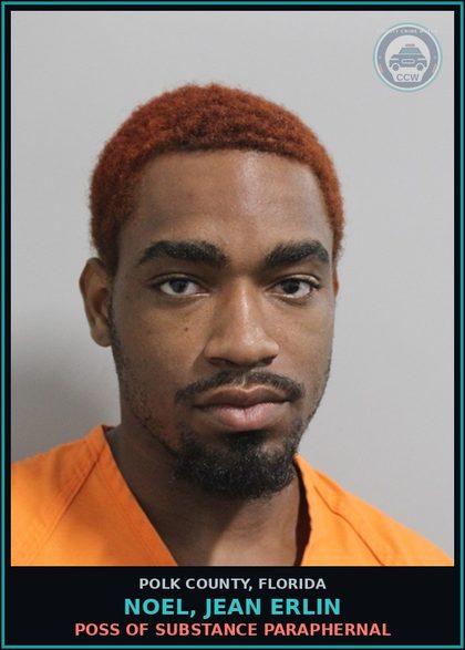 CCW arrest card for NOEL, JEAN ERLIN in Polk County: (1 cnts) Canna POSSESS NOT MORE THAN 20 GRAMS