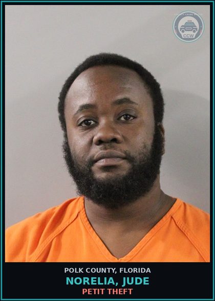 CCW arrest card for NORELIA, JUDE in Polk County: Petit Theft
