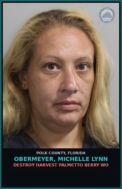 CCW arrest card for OBERMEYER, MICHELLE LYNN in Polk County: Destroy Harvest Palmetto Berry WO