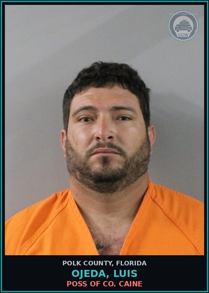 CCW arrest card for OJEDA, LUIS in Polk County: POSS OF COCAINE