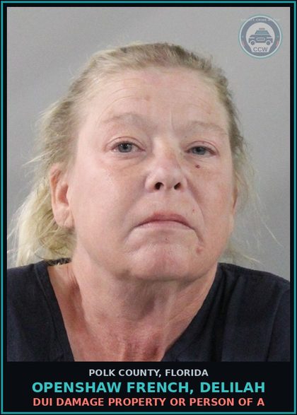 CCW arrest card for OPENSHAW FRENCH, DELILAH in Polk County: 0.15 or Higher or W Person Under 1
