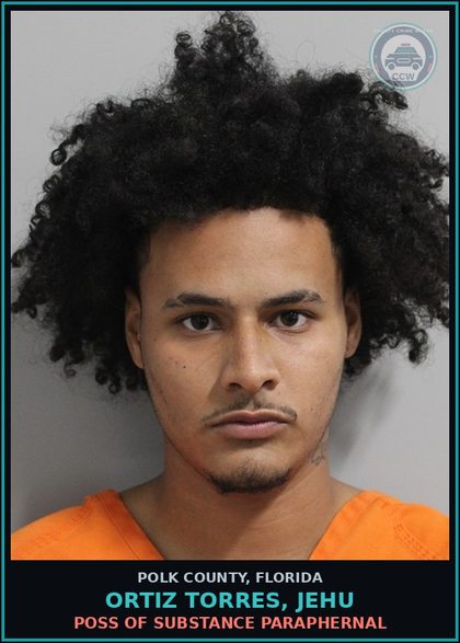 CCW arrest card for ORTIZ TORRES, JEHU in Polk County: Canna POSSESS Not More Than 20