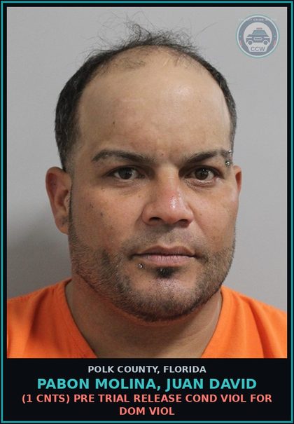 CCW arrest card for PABON MOLINA, JUAN DAVID in Polk County: (1 cnts) PRE TRIAL RELEASE COND VIOL FOR DOM VIOL