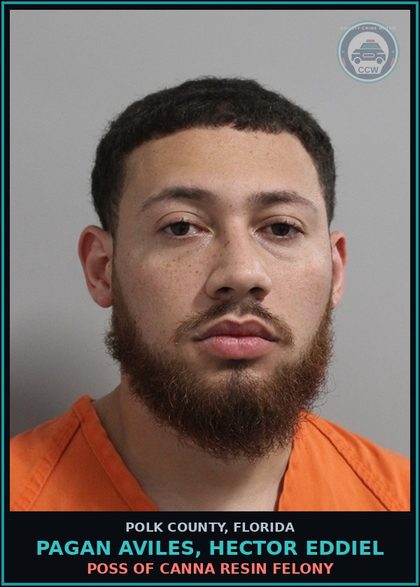 CCW arrest card for PAGAN AVILES, HECTOR EDDIEL in Polk County: Canna POSSESS Not More Than 20