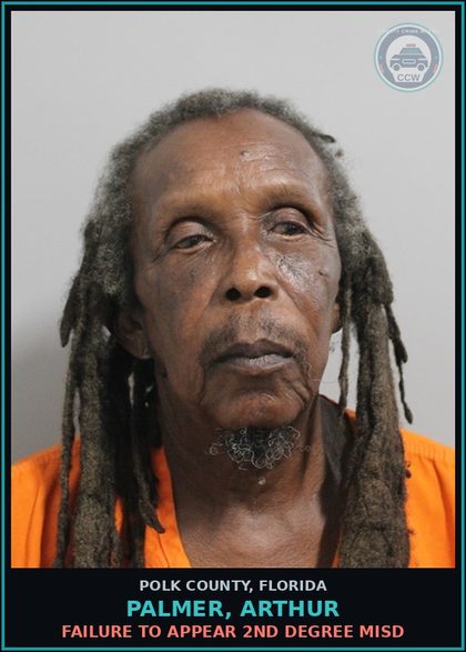 CCW arrest card for PALMER, ARTHUR in Polk County: FAILURE TO APPEAR 2nd Degree Misd