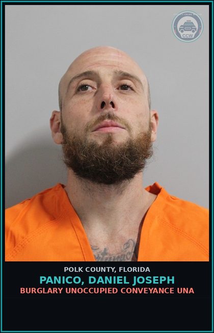 CCW arrest card for PANICO, DANIEL JOSEPH in Polk County: Grand Theft of Motor Vehicle