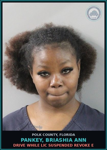 CCW arrest card for PANKEY, BRIASHIA ANN in Polk County: Drive While Lic Suspended Revoke E