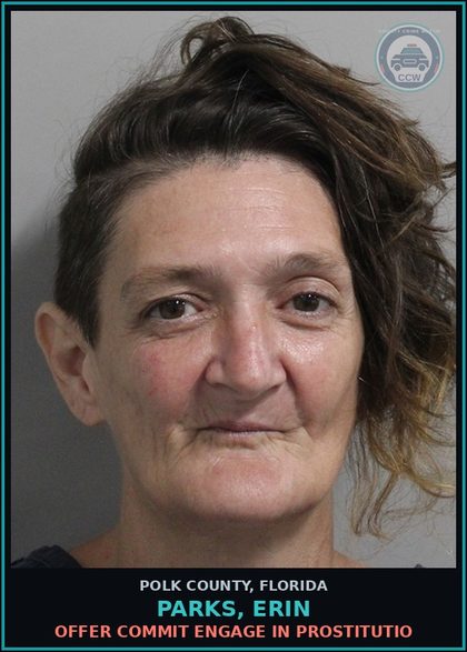 CCW arrest card for PARKS, ERIN in Polk County: Offer Commit Engage in Prostitutio