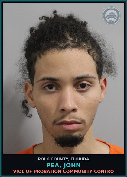 CCW arrest card for PEA, JOHN in Polk County: Viol of Probation Community Contro