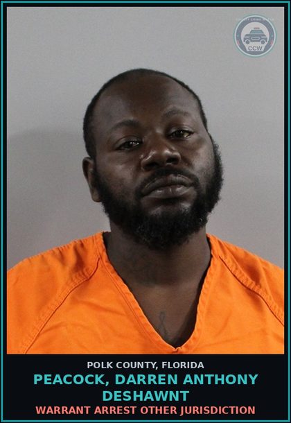 CCW arrest card for PEACOCK, DARREN ANTHONY DESHAWNT in Polk County: Warrant Arrest Other Jurisdiction