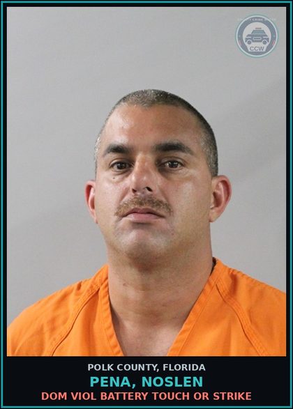 CCW arrest card for PENA, NOSLEN in Polk County: Dom Viol Battery Touch or Strike