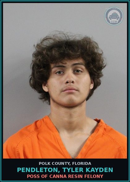 CCW arrest card for PENDLETON, TYLER KAYDEN in Polk County: POSSESSION OF Canna