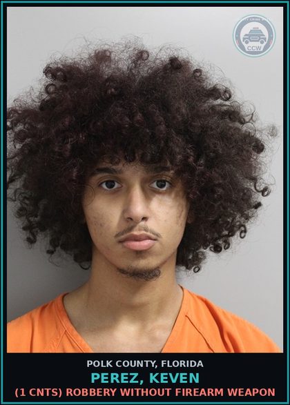 CCW arrest card for PEREZ, KEVEN in Polk County: Battery Touch Or Strike