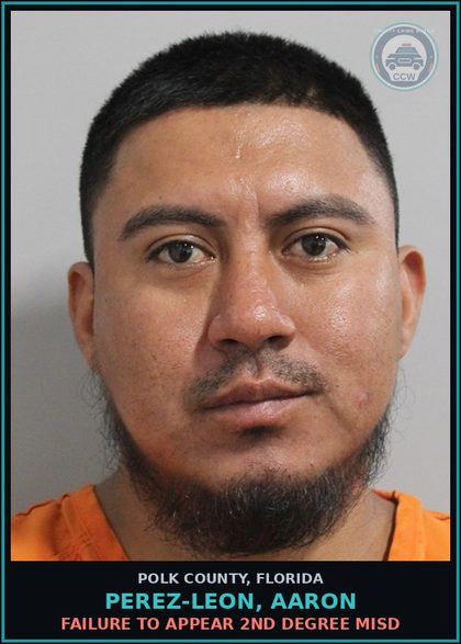 CCW arrest card for PEREZ-LEON, AARON in Polk County: FAILURE TO APPEAR 2nd Degree Misd