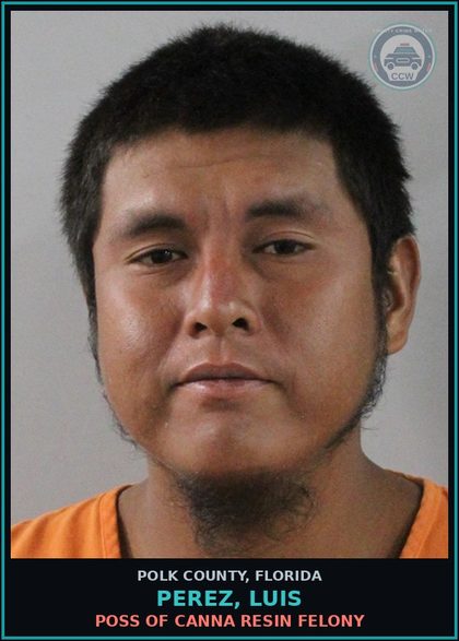 CCW arrest card for PEREZ, LUIS in Polk County: Poss. Use Narcotic Paraphernalia