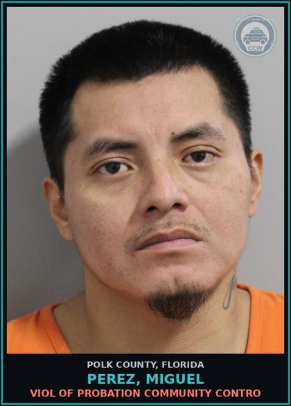 CCW arrest card for PEREZ, MIGUEL in Polk County: Viol of Probation Community Contro