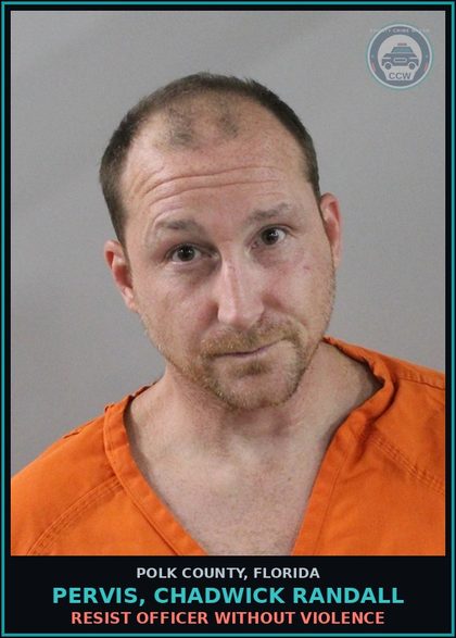 CCW arrest card for PERVIS, CHADWICK RANDALL in Polk County: Resist Officer without Violence