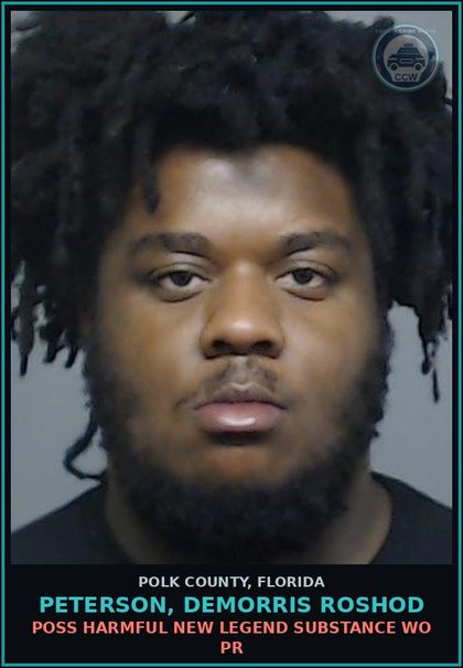 CCW arrest card for PETERSON, DEMORRIS ROSHOD in Polk County: Information Non Criminal Offense