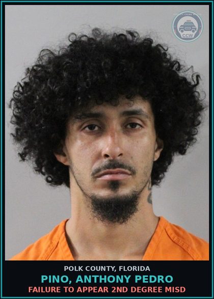 CCW arrest card for PINO, ANTHONY PEDRO in Polk County: FAILURE TO APPEAR 2nd Degree Misd