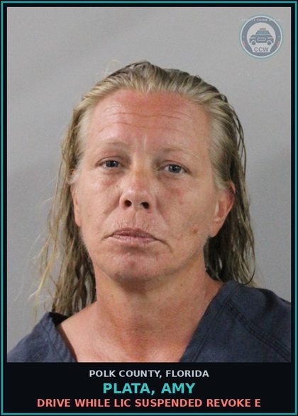 CCW arrest card for PLATA, AMY in Polk County: Drive While Lic Suspended Revoke E