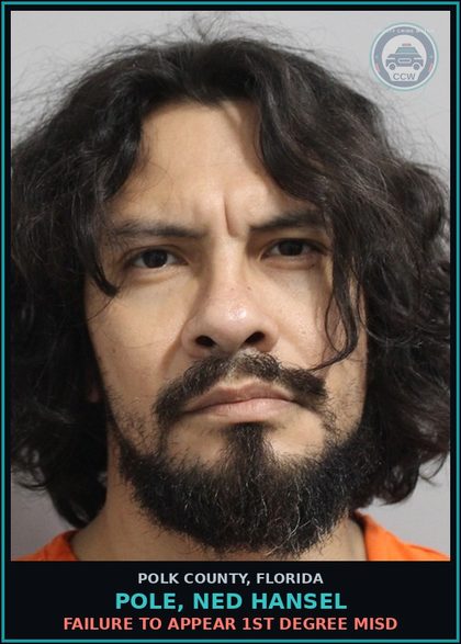 CCW arrest card for POLE, NED HANSEL in Polk County: FAILURE TO APPEAR 1st Degree Misd