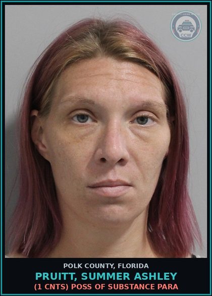 CCW arrest card for PRUITT, SUMMER ASHLEY in Polk County: Canna POSSESS Not More Than 20