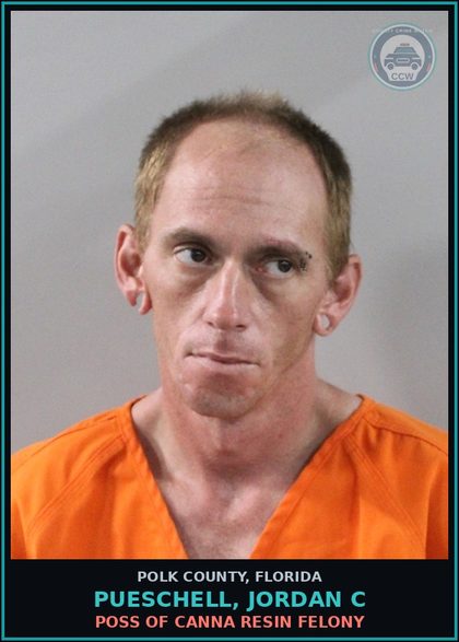 CCW arrest card for PUESCHELL, JORDAN C in Polk County: POSSESSION OF Canna