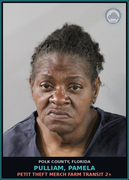 CCW arrest card for PULLIAM, PAMELA in Polk County: Resist Officer without Violence