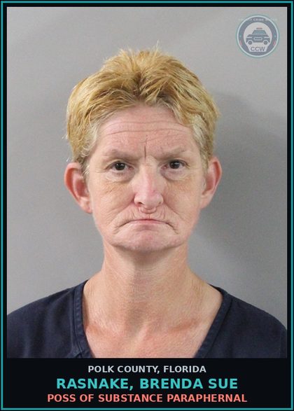 CCW arrest card for RASNAKE, BRENDA SUE in Polk County: Viol of Probation Community Contro