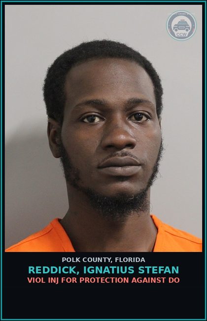 CCW arrest card for REDDICK, IGNATIUS STEFAN in Polk County: Viol Inj for Protection against Do