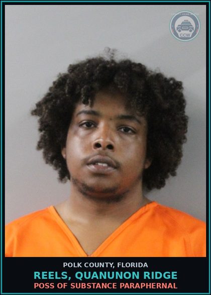 CCW arrest card for REELS, QUANUNON RIDGE in Polk County: Canna POSSESS Not More Than 20