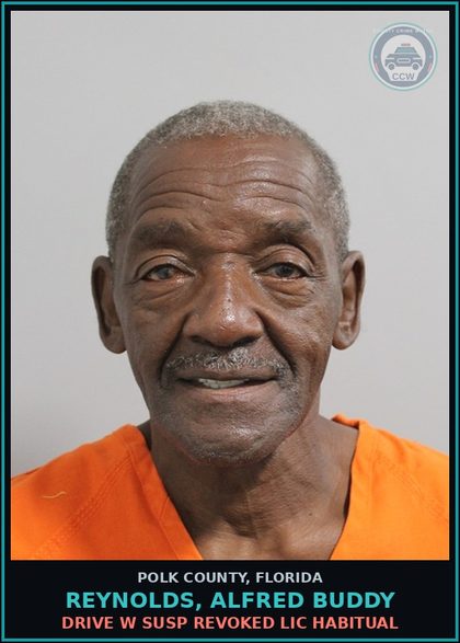 CCW arrest card for REYNOLDS, ALFRED BUDDY in Polk County: Drive w Susp Revoked Lic Habitual