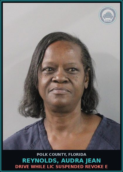 CCW arrest card for REYNOLDS, AUDRA JEAN in Polk County: Drive While Lic Suspended Revoke E