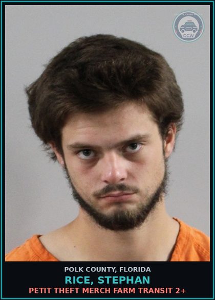 CCW arrest card for RICE, STEPHAN in Polk County: Petit Theft Merch Farm Transit 2+
