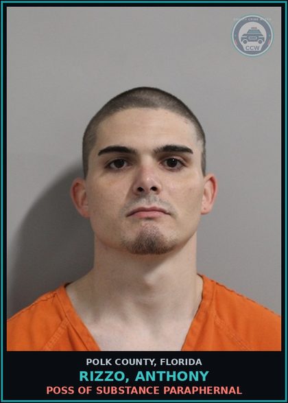 CCW arrest card for RIZZO, ANTHONY in Polk County: Resist Officer without Violence