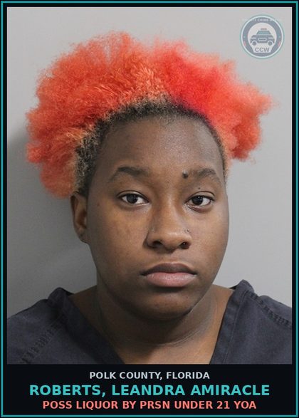CCW arrest card for ROBERTS, LEANDRA AMIRACLE in Polk County: Resist Officer without Violence