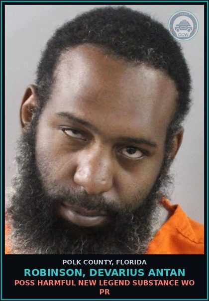 CCW arrest card for ROBINSON, DEVARIUS ANTAN in Polk County: Information Non Criminal Offense