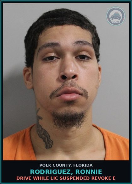 CCW arrest card for RODRIGUEZ, RONNIE in Polk County: Drive While Lic Suspended Revoke E