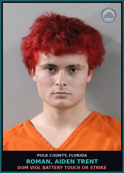 CCW arrest card for ROMAN, AIDEN TRENT in Polk County: Dom Viol Battery Touch or Strike