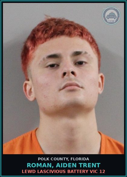 CCW arrest card for ROMAN, AIDEN TRENT in Polk County: (1 cnts) USE 2 WAY COMMUNICATION DEVICE TO COMMIT FELONY