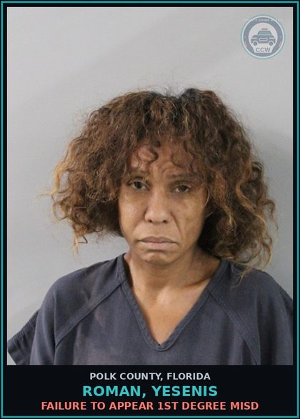 CCW arrest card for ROMAN, YESENIS in Polk County: FAILURE TO APPEAR 1st Degree Misd