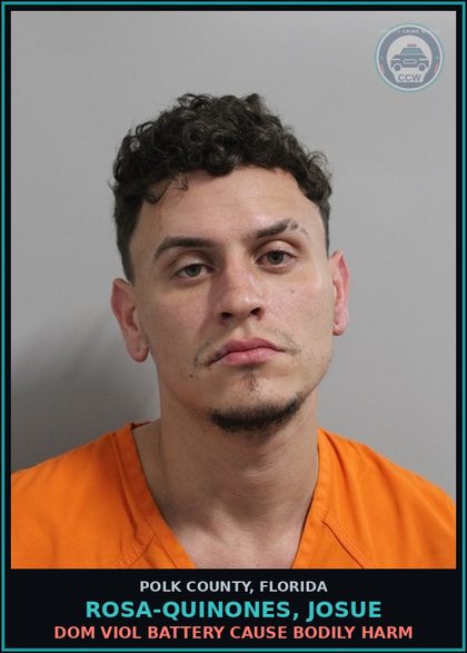 CCW arrest card for ROSA-QUINONES, JOSUE in Polk County: Dom Viol Battery Cause Bodily Harm