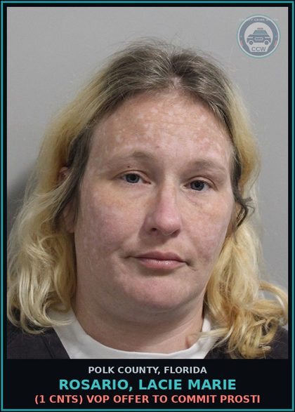 CCW arrest card for ROSARIO, LACIE MARIE in Polk County: (1 cnts) VOP OFFER TO COMMIT Prosti