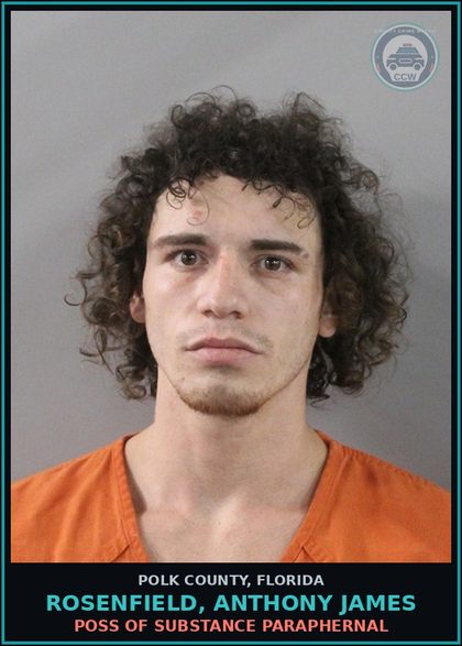 CCW arrest card for ROSENFIELD, ANTHONY JAMES in Polk County: Canna POSSESS Not More Than 20