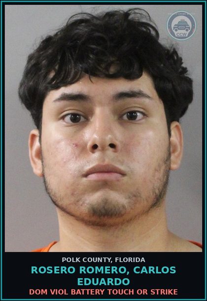 CCW arrest card for ROSERO ROMERO, CARLOS EDUARDO in Polk County: Dom Viol Battery Touch or Strike