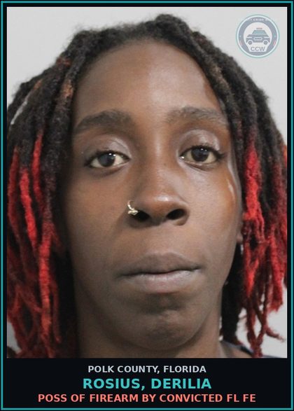 CCW arrest card for ROSIUS, DERILIA in Polk County: Dom Viol Agg Asslt Deadly Weap WO