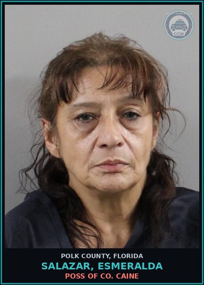 CCW arrest card for SALAZAR, ESMERALDA in Polk County: Poss. Use Narcotic Paraphernalia